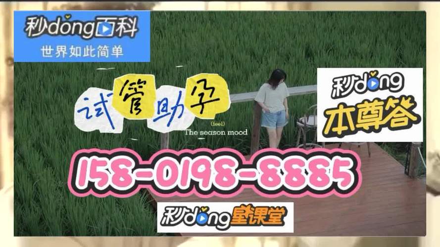 供卵代生男孩-供卵代生：实现梦想的男孩