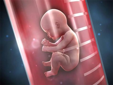 供卵生下的孩子能入户吗_供卵生下的孩子是否能够入户？