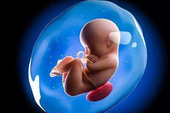 供卵试管婴儿选性别包成功【供卵试管婴儿选性别包成功:实现你梦寐以求的宝宝性别】