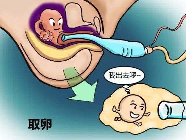 供卵生子的后悔了吗【供卵生子:后悔了吗?】