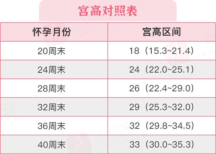 供卵试管代怀需要多少费用-供卵试管代怀需要多少费用？