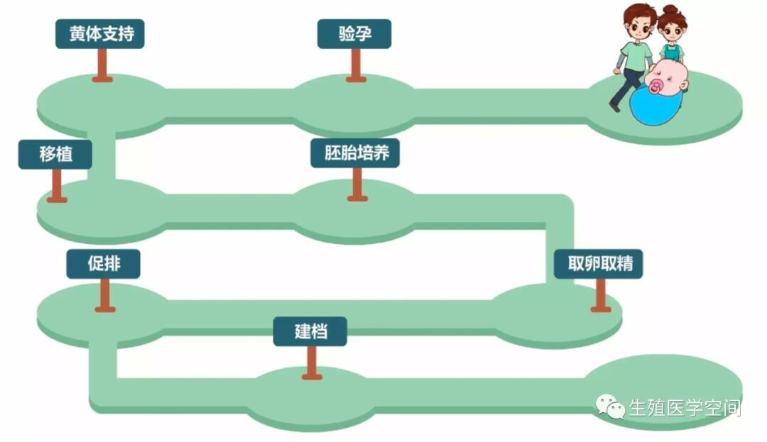 供卵流程是怎样的(供卵流程解析：详细了解供卵流程是怎样的)